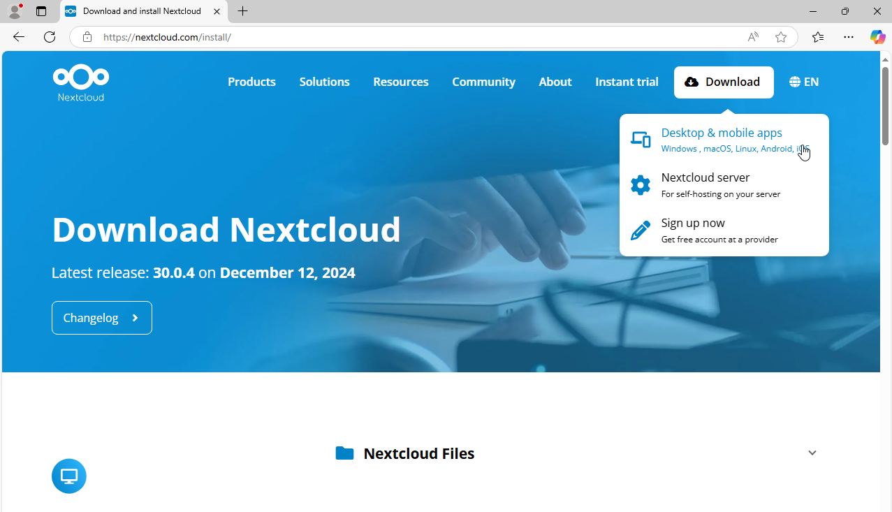 Browser local storage